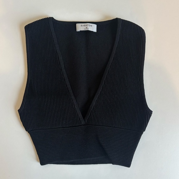 Aritzia Tops - Aritzia Babaton Sculpt Knit Deep V Tank